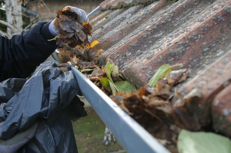 Removing Leaves and Debris